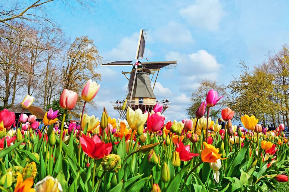 tiket keukenhof ()